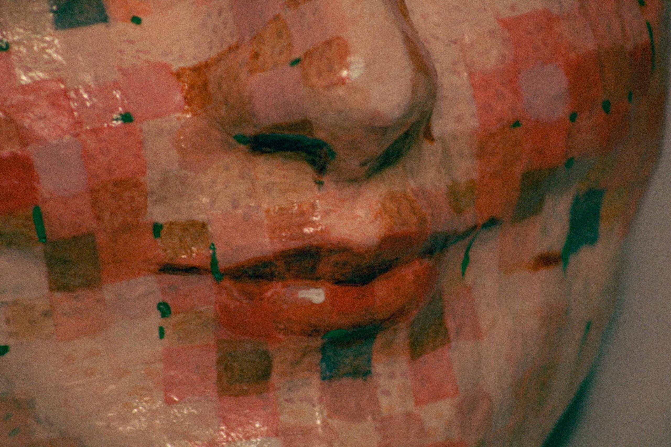 detail of the lower face focusing on the nose and lips, covered in small square patches of red and beige tones